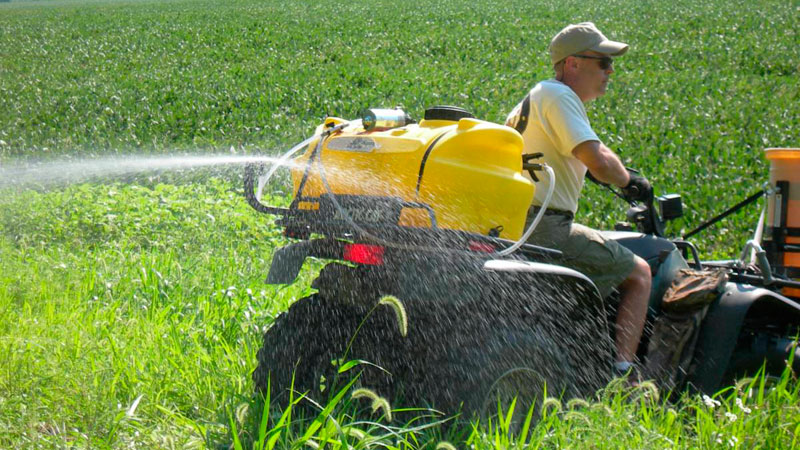 food plots
