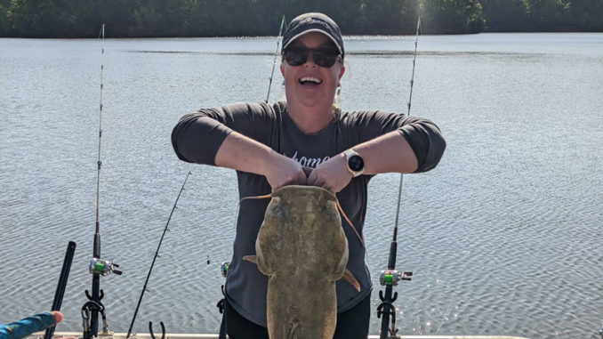 catfish
