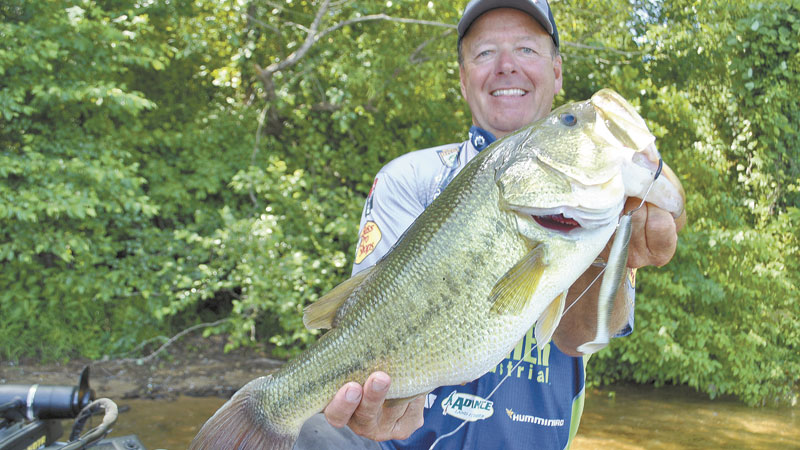 bass