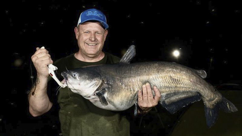 catfish