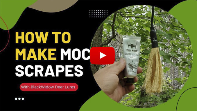 mock scrapes