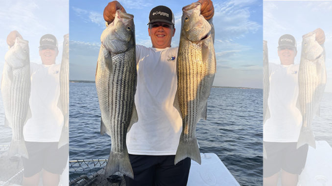 stripers
