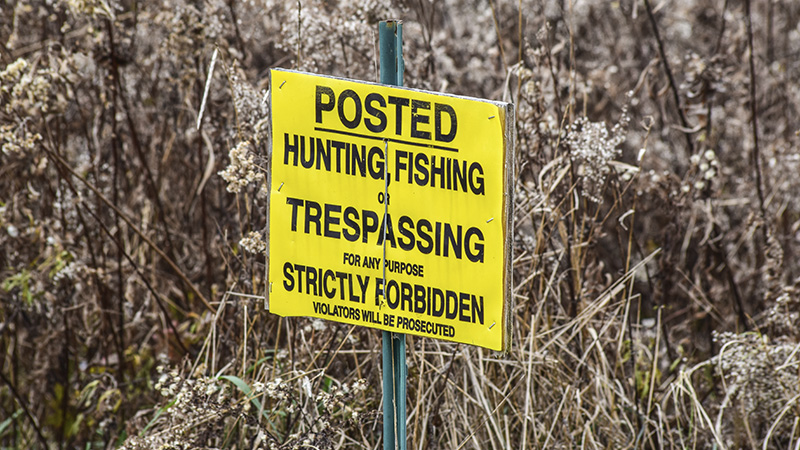 poachers