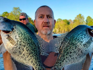 crappie