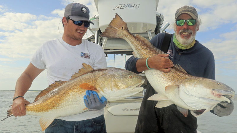 bull redfish