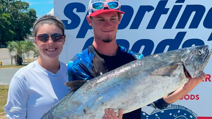 king mackerel