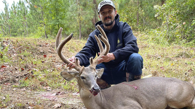 velvet buck
