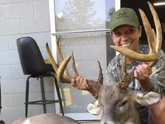 13-point buck