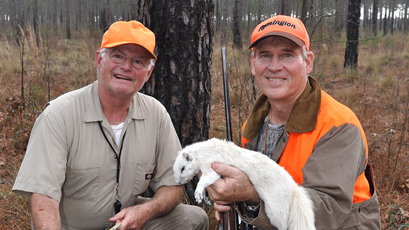 fox squirrels