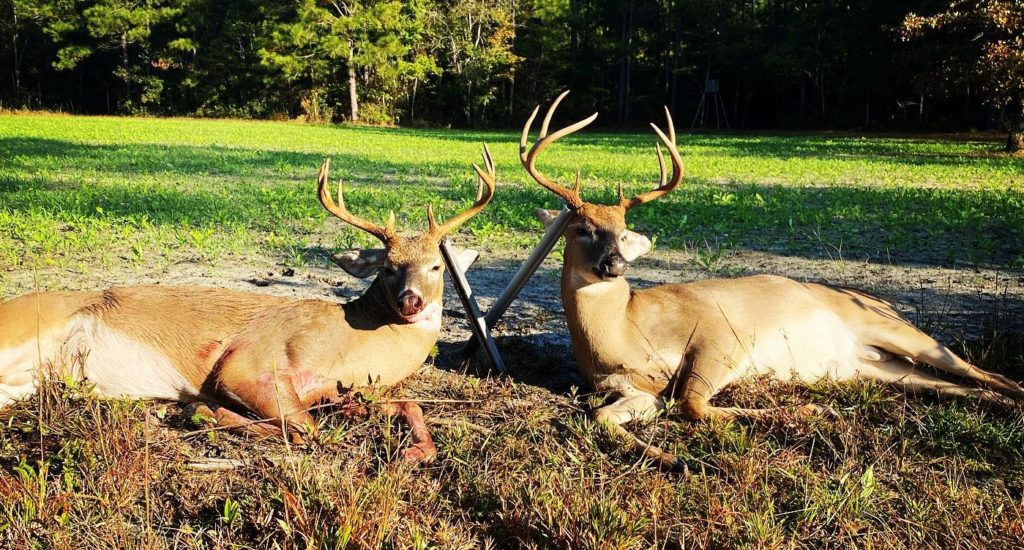 Two buddies hunting in Onslow County, NC killed a 10-pointer and an 8-pointer on 10/8/2022.