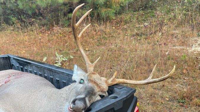 wide-racked buck