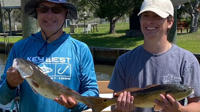 red drum