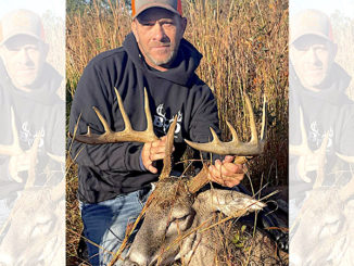 12-point buck