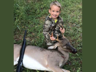 6-point buck
