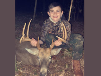 buck