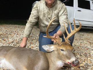 buck