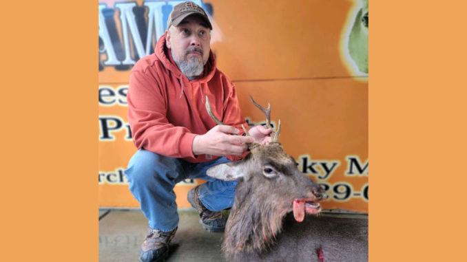 Sika