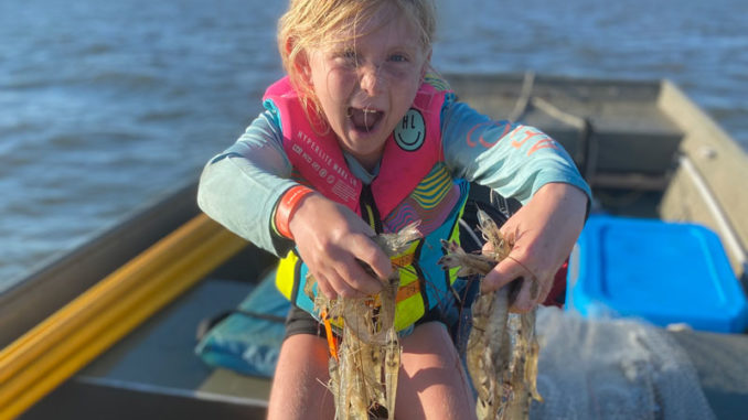 Edisto