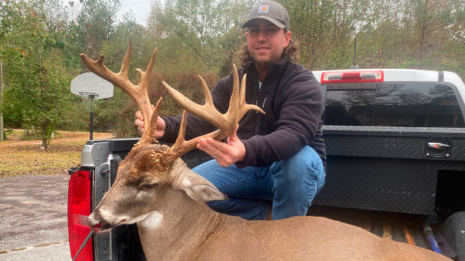 14-point
