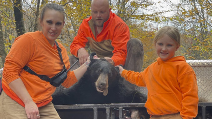 bear