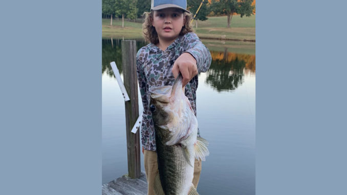 bass