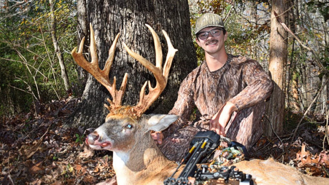 buck