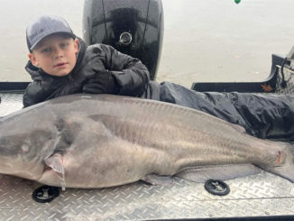 Flathead Luke