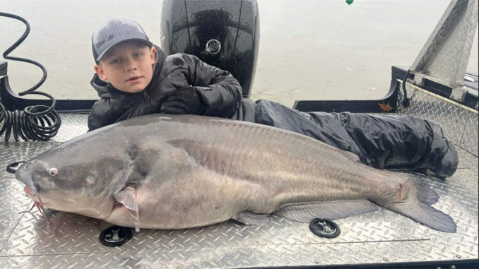 Flathead Luke