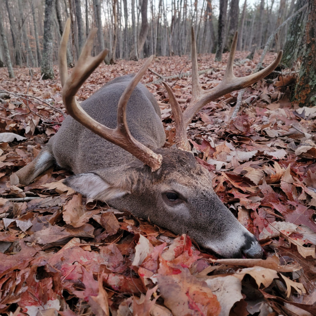 Todd Lauvray killed this 10-point Rockingham County buck on Dec. 6, 2022.