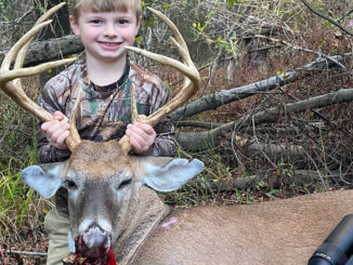 8-point buck