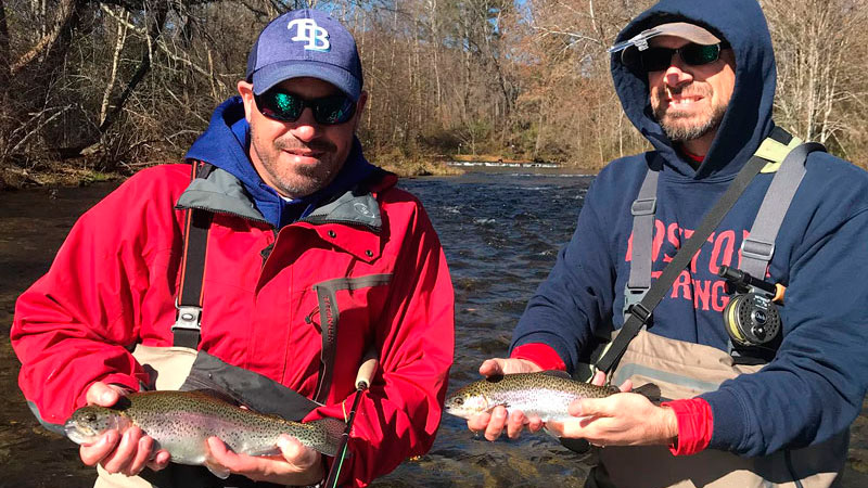 trout