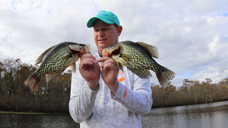 crappie