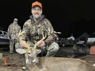 6-point