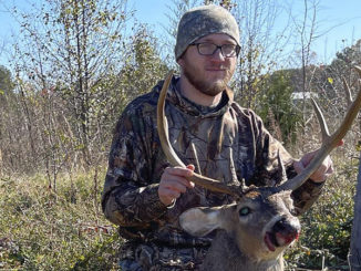 9-point