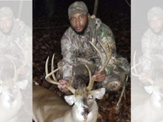 9-point