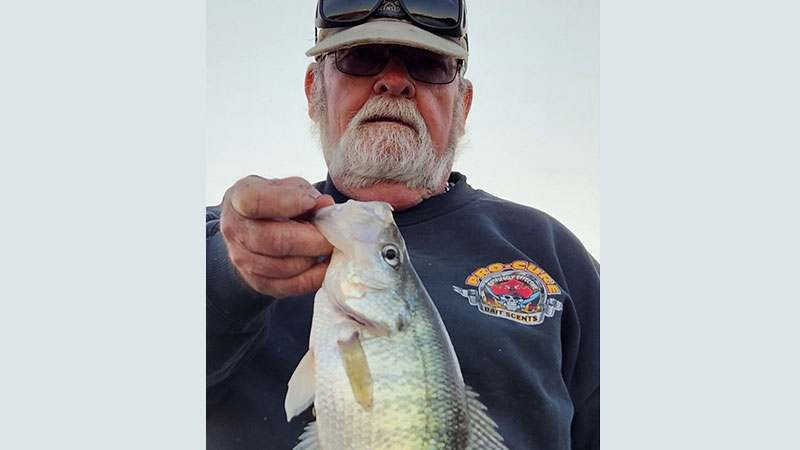 Crappie fishing with Yeah Right Charters