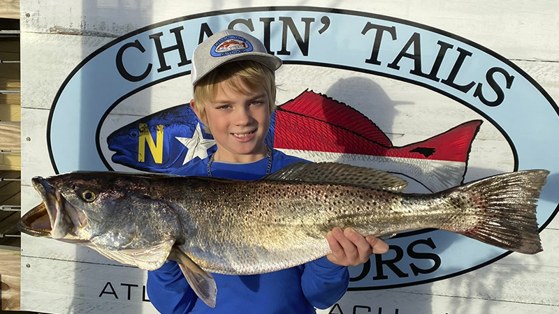 speckled trout