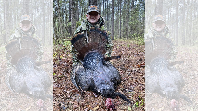 gobbler