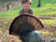 first gobbler