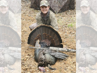 26-pound