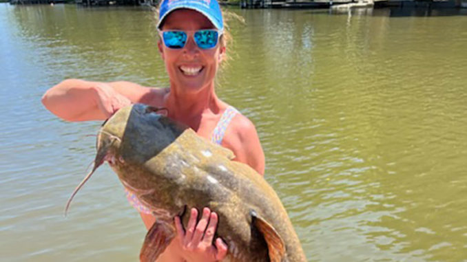 Lake Tillery flathead