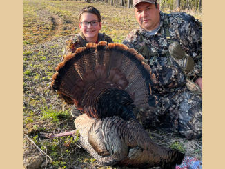 gobbler