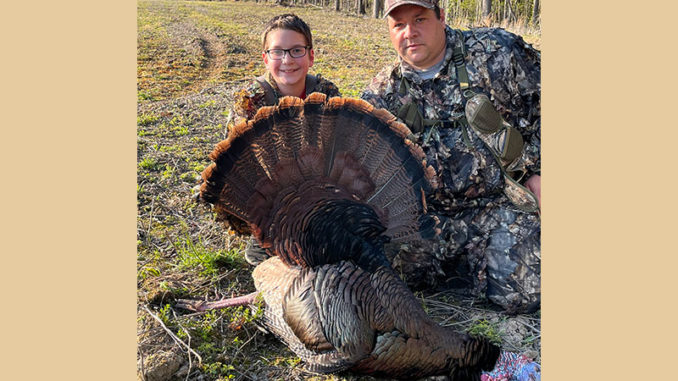 gobbler