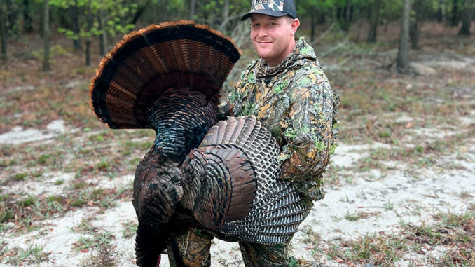 Pender County gobbler
