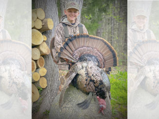 double-bearded gobbler