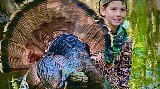 gobbler