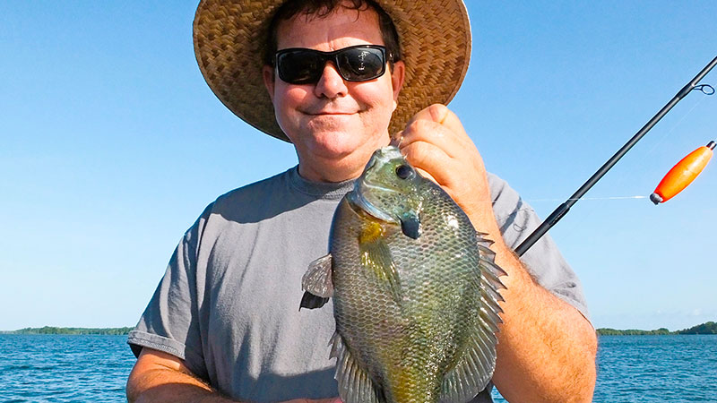 Bream are on the beds at Santee - Carolina Sportsman