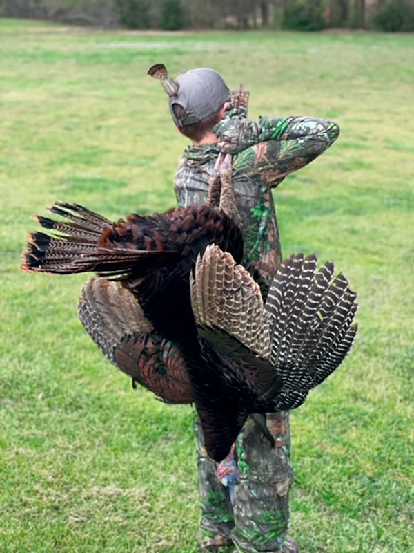 longbeard