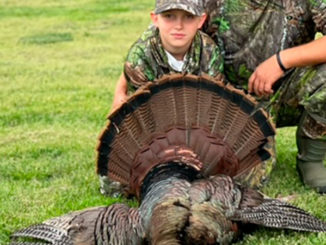 longbeard