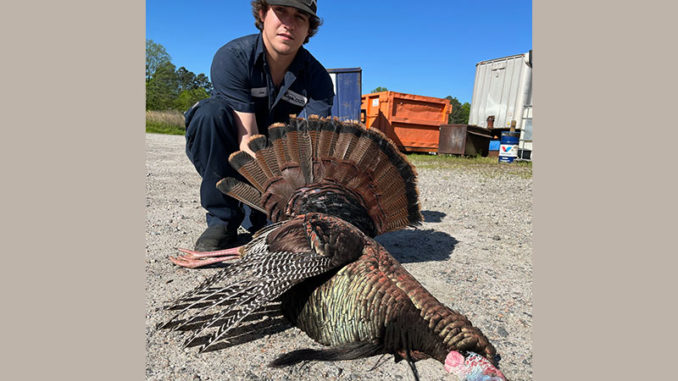 triple-bearded gobbler